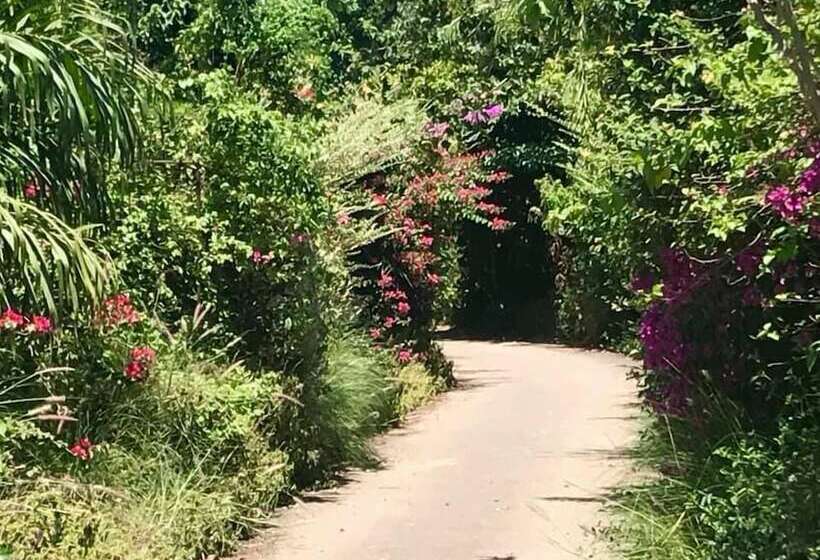 هتل The Pines At Katosi