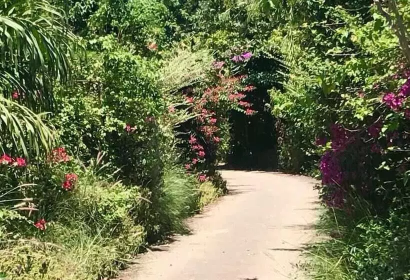 هتل The Pines At Katosi