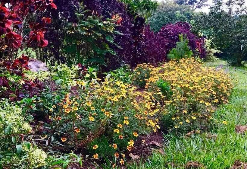 هتل The Pines At Katosi