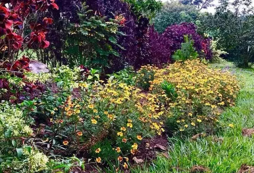 هتل The Pines At Katosi