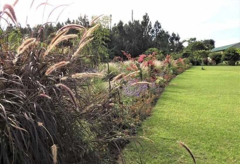 هتل The Pines At Katosi