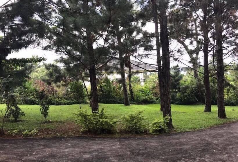 هتل The Pines At Katosi