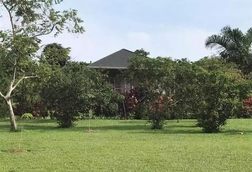 هتل The Pines At Katosi