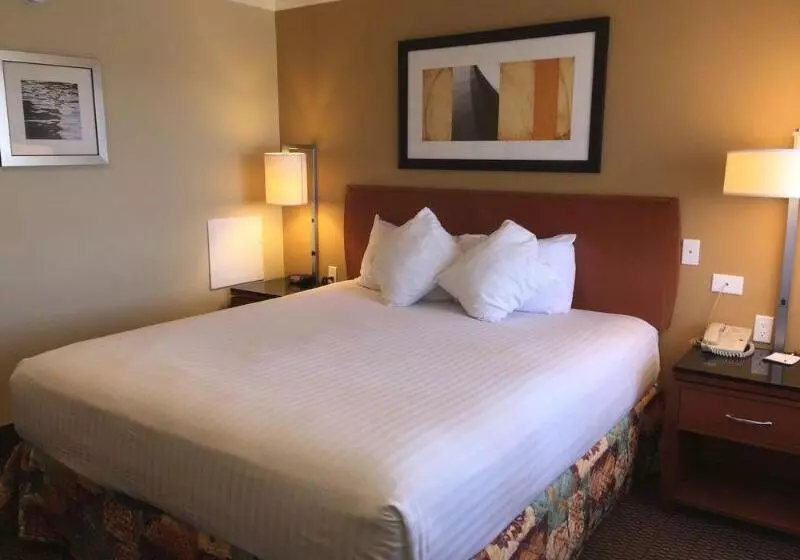 בית מלון כפרי Aspen Flagstaff/ Grand Canyon Innsuites