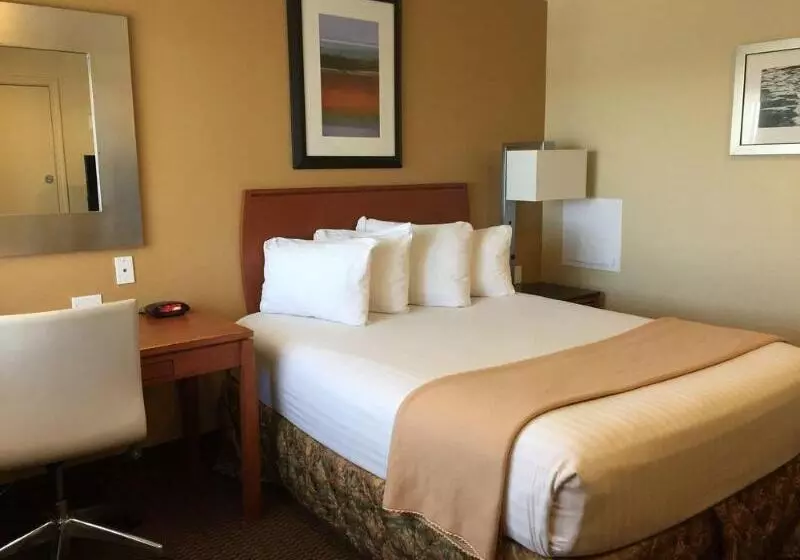 בית מלון כפרי Aspen Flagstaff/ Grand Canyon Innsuites