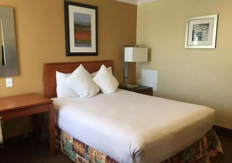 בית מלון כפרי Aspen Flagstaff/ Grand Canyon Innsuites