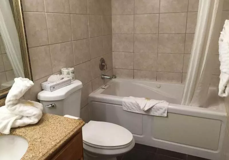 בית מלון כפרי Aspen Flagstaff/ Grand Canyon Innsuites