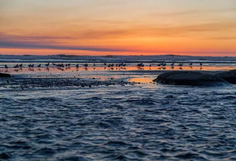 酒店 Kalaloch Lodge
