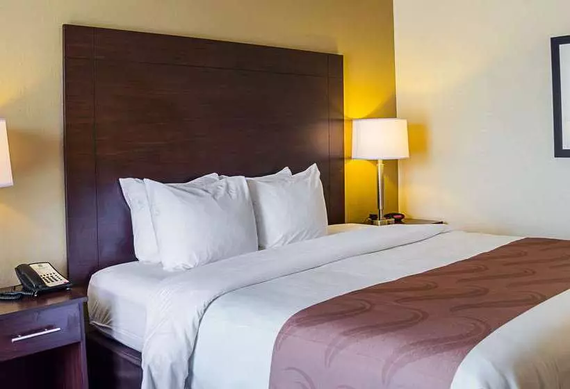 Отель Quality Inn Vicksburg