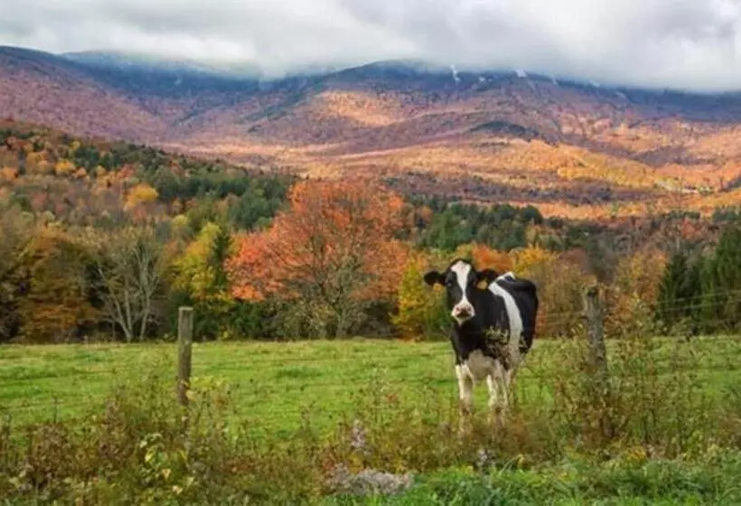 Отель The Inn At Round Barn Farm