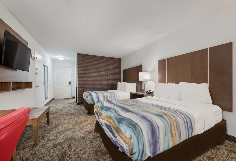 Surestay Hotel By Best Western Tuscaloosa Southeast