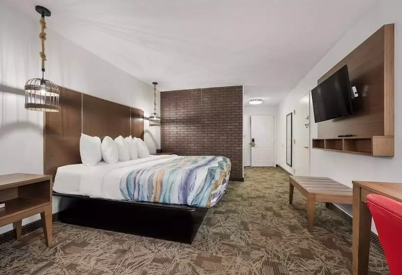 Surestay Hotel By Best Western Tuscaloosa Southeast