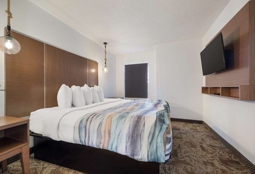 Surestay Hotel By Best Western Tuscaloosa Southeast