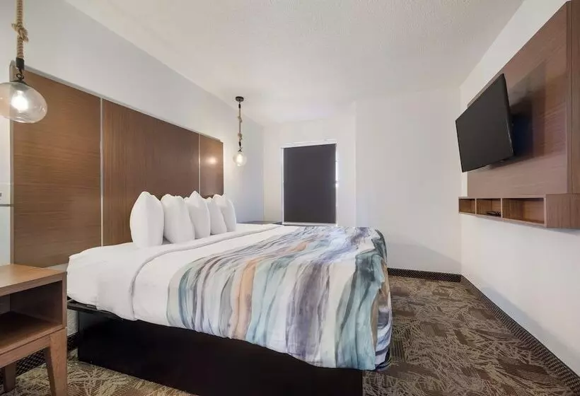 Surestay Hotel By Best Western Tuscaloosa Southeast