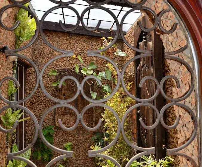 تختخواب و صبحانه African Heritage House