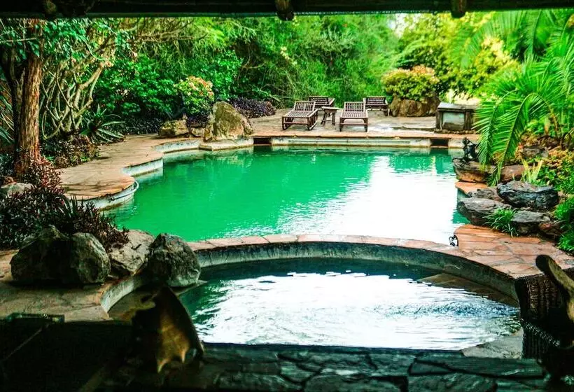 تختخواب و صبحانه African Heritage House