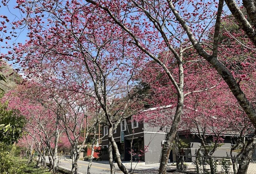 تختخواب و صبحانه Breeze Homestay