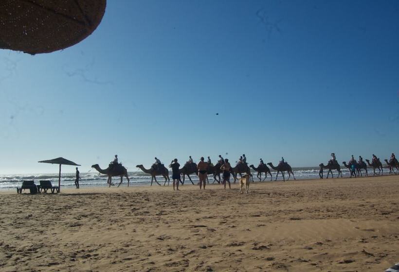 Essaouira Beach Hostel