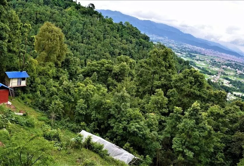 هتل Jungle Crown Organic Homestay