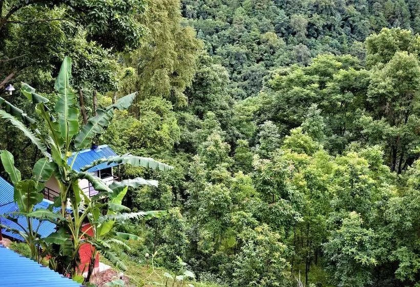 هتل Jungle Crown Organic Homestay