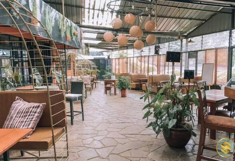 هتل Sochati Casa Resort