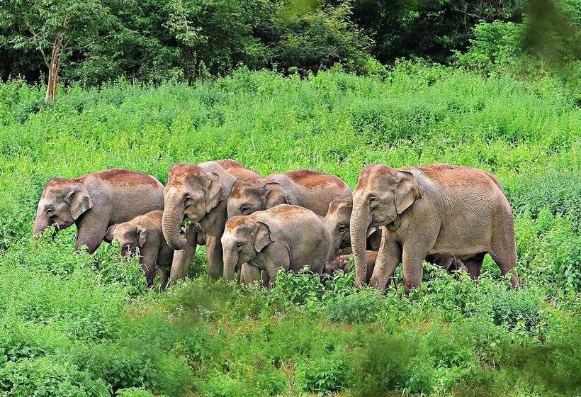 Maleesa Place Hua Hin