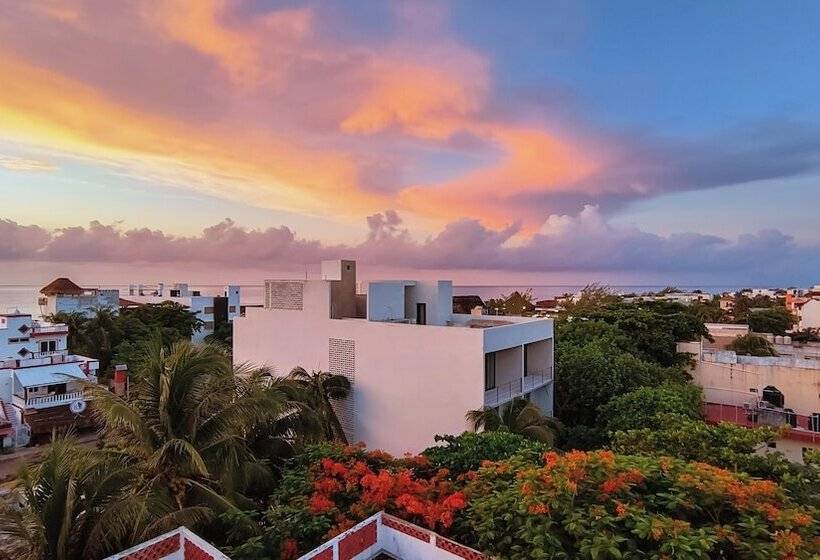 Areia Boutique Hotel   Puerto Morelos