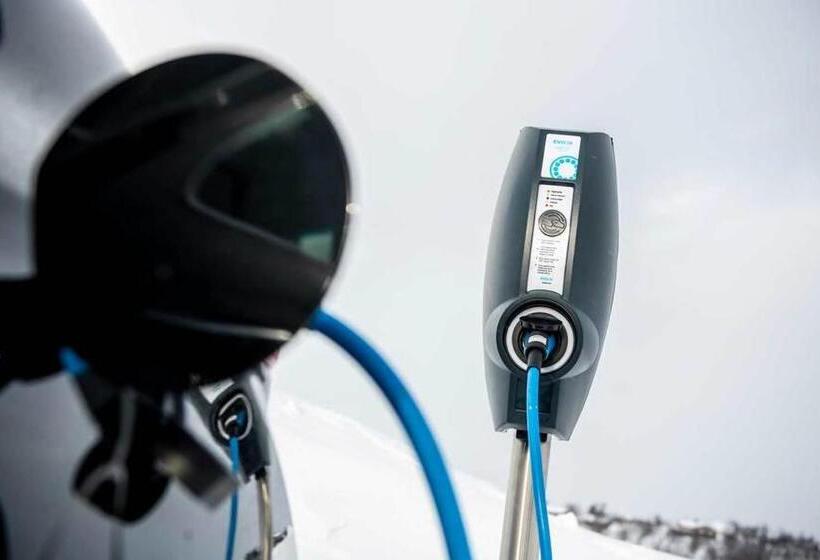 酒店 Appartementen Klaver Vier