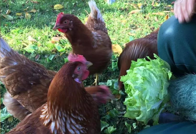 Bed And Breakfast Millingen Aan De Rijn