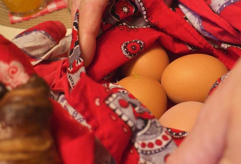 Bed And Breakfast Millingen Aan De Rijn