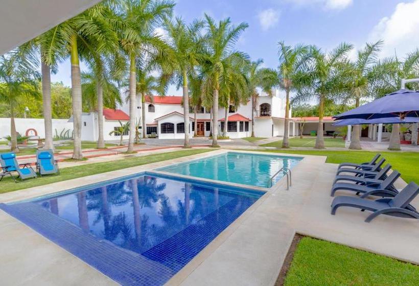 B&b Quinta Juventina