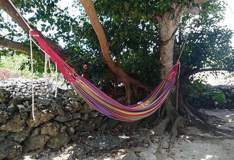 Taketomijima Guesthouse & Jetaime   Hostel