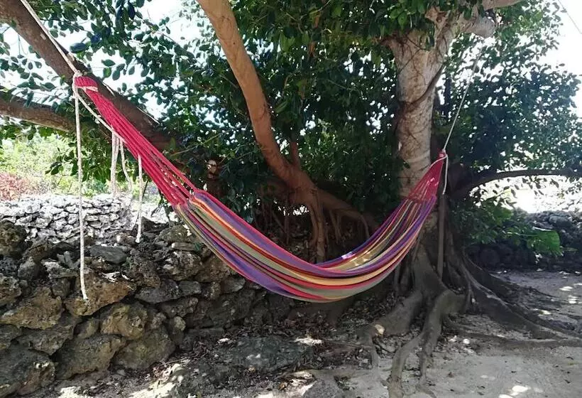 Taketomijima Guesthouse & Jetaime   Hostel