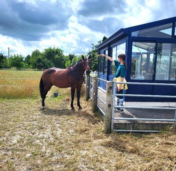 住宿加早餐  Petit Châtelet Bis