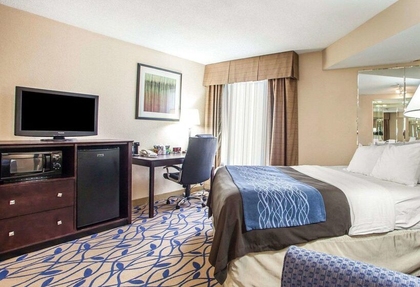 ホテル Comfort Inn Bourbonnais Near I57