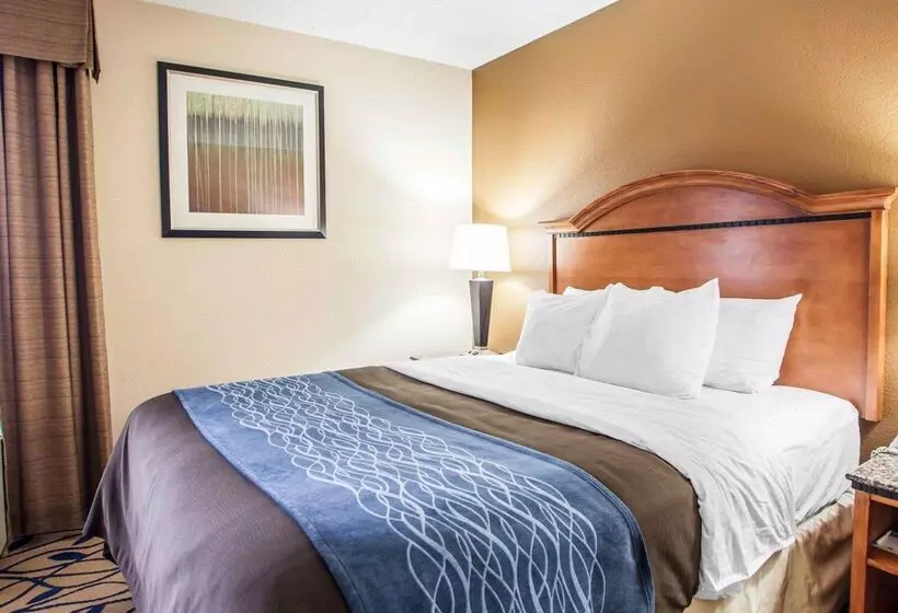 호텔 Comfort Inn Bourbonnais Near I57