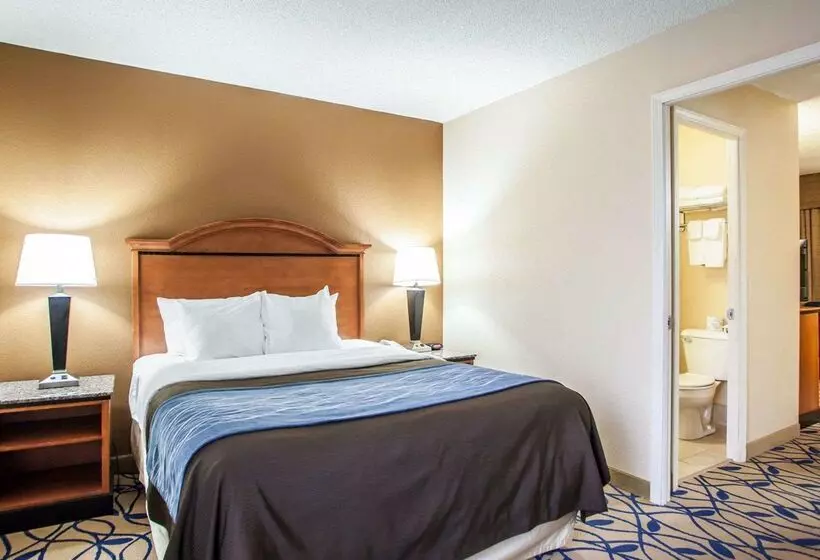 호텔 Comfort Inn Bourbonnais Near I57
