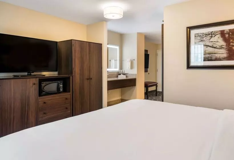 酒店 Country Inn & Suites By Radisson, Grandvillegrand Rapids West, Mi