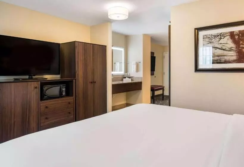 酒店 Country Inn & Suites By Radisson, Grandvillegrand Rapids West, Mi