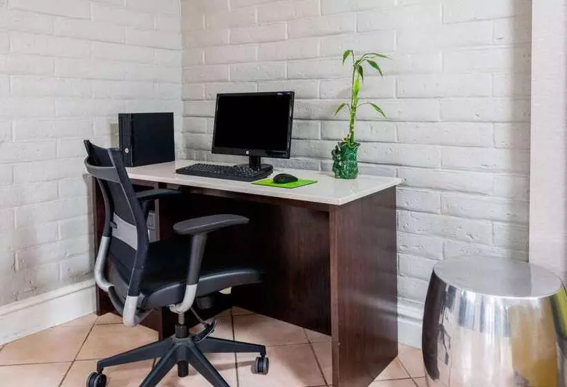 酒店 Super 8 By Wyndham The Woodlands North