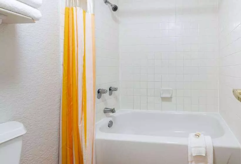 酒店 Super 8 By Wyndham The Woodlands North