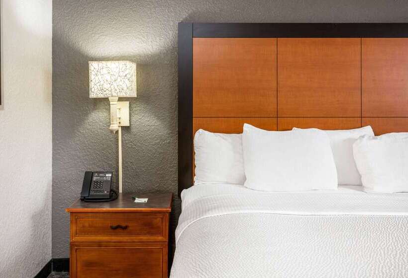 فندق Super 8 By Wyndham The Woodlands North