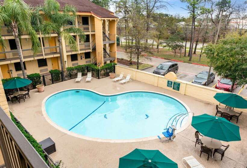 فندق Super 8 By Wyndham The Woodlands North