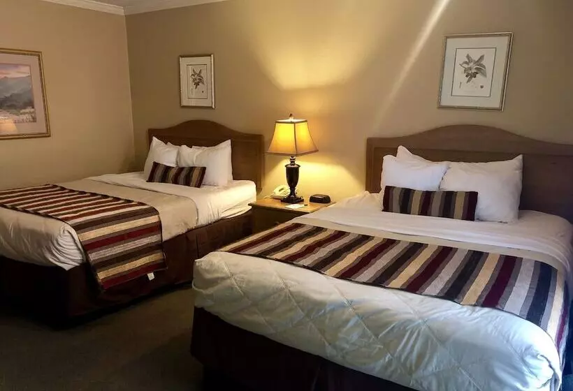 호텔 Lamp Liter Inn