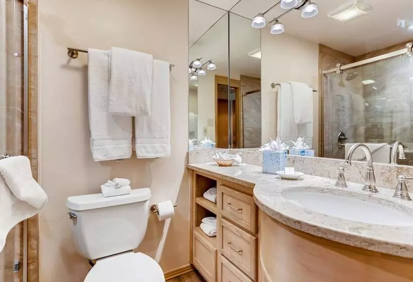 Отель Lodge Tower