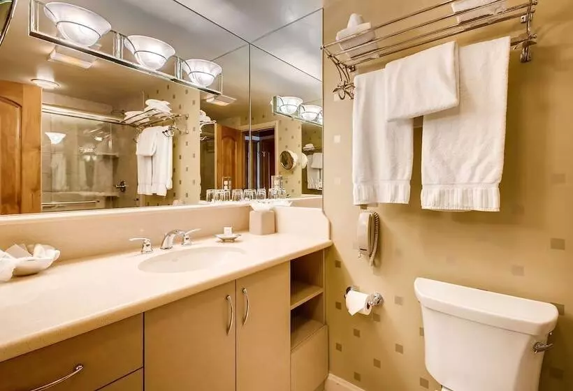 Отель Lodge Tower