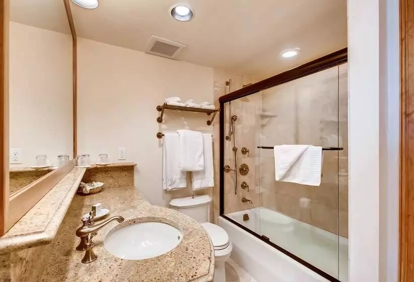 Отель Lodge Tower