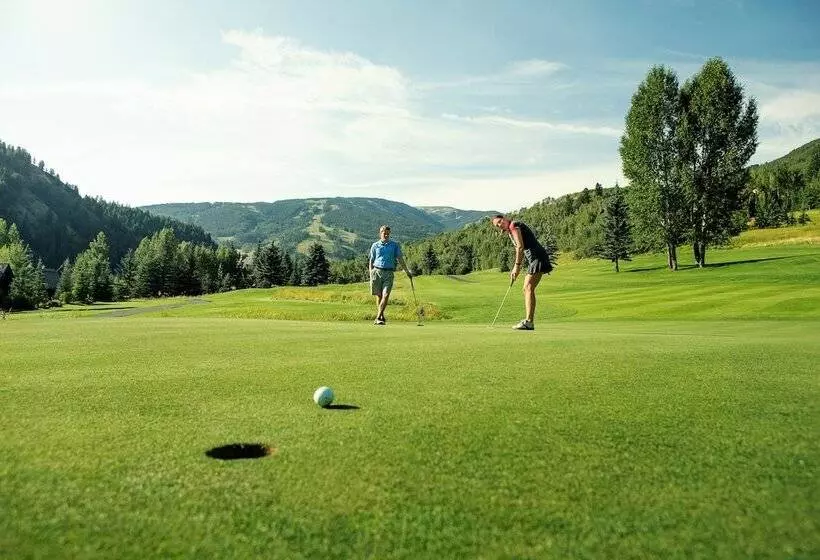 Отель Lodge Tower