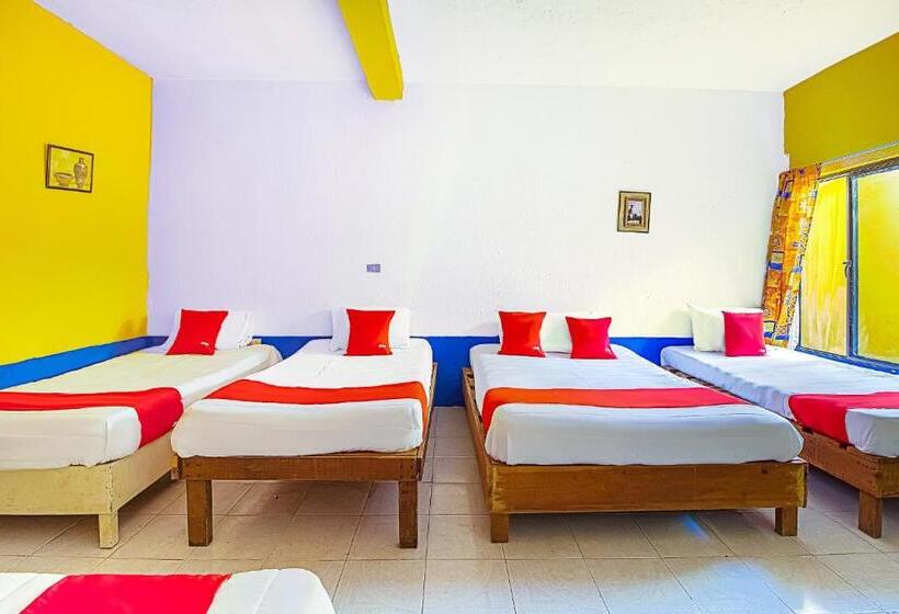 Отель Posada Los Faroles