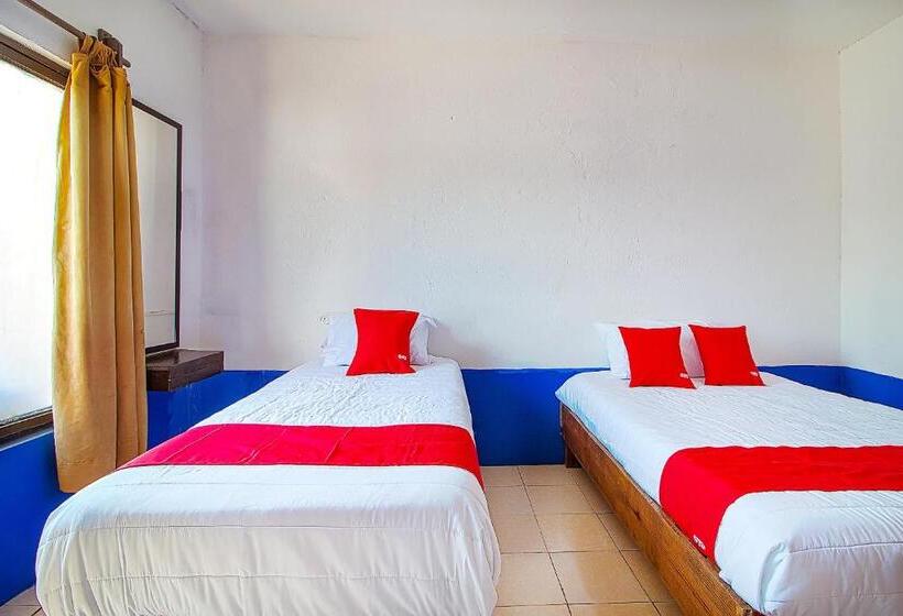 Отель Posada Los Faroles